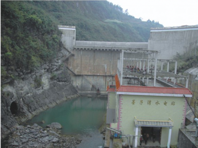 貴沿河縣墨子灣電站大壩、廠房、機(jī)組安裝交鑰匙工程